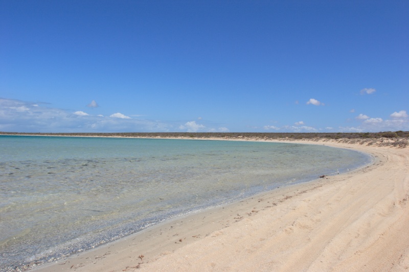 IMG_7033 デナムにほど近い塩湖、リトルラグーン。<BR>
ラグーンという言葉のニュアンスにピッタリな雰囲気ですな。